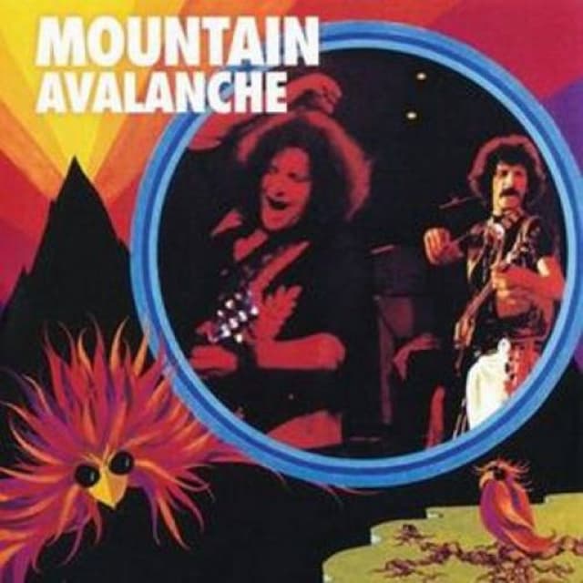 Avalanche cover