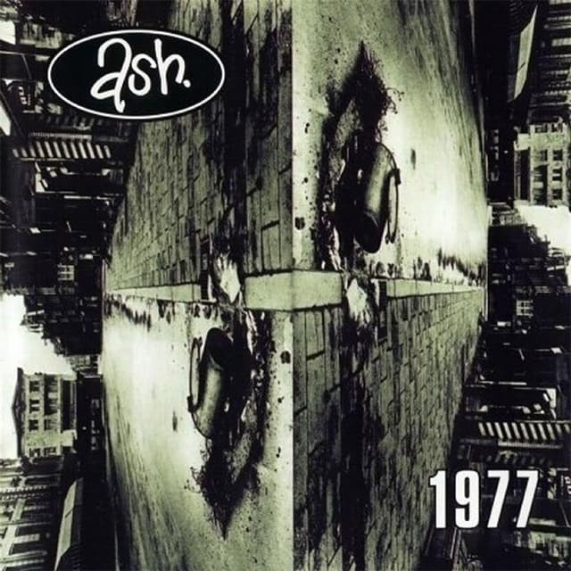 1977 cover