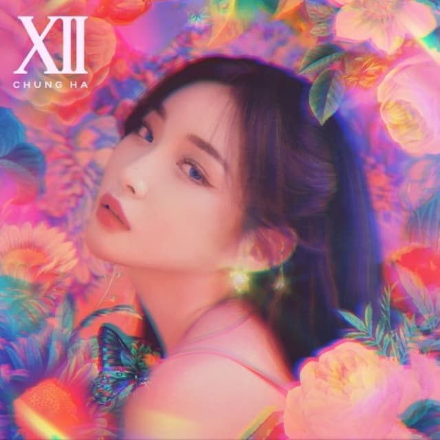 벌써 12시 cover