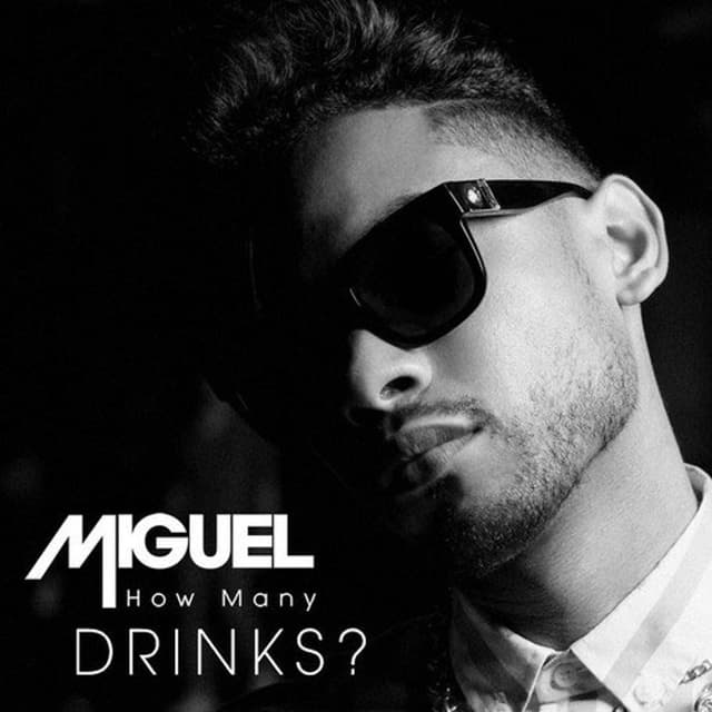 How Many Drinks cover