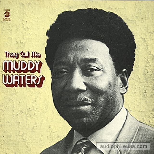 They Call Me Muddy Waters cover