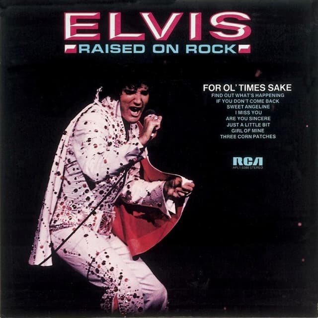 Raised on Rock cover