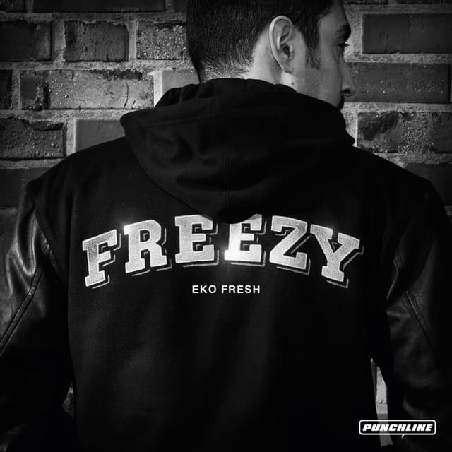 Freezy cover