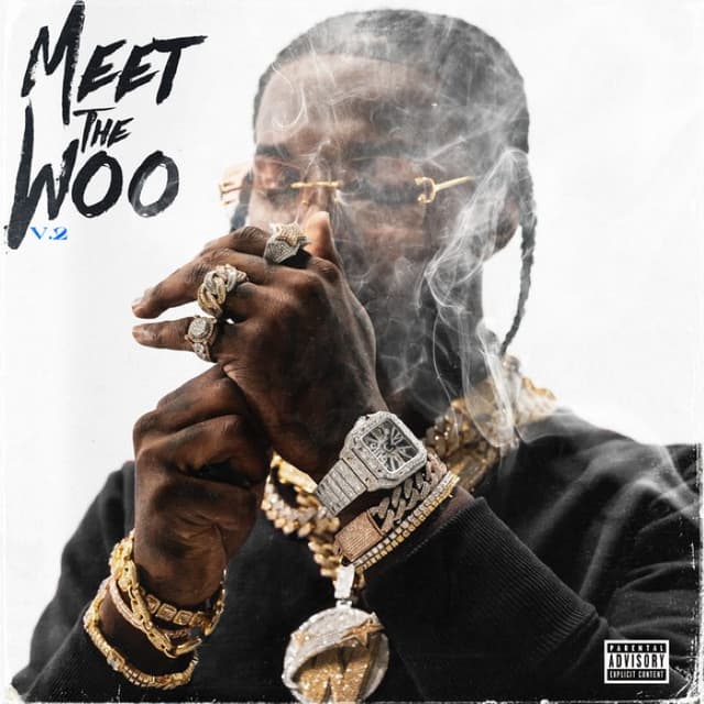 Meet the Woo, Vol. 2 cover