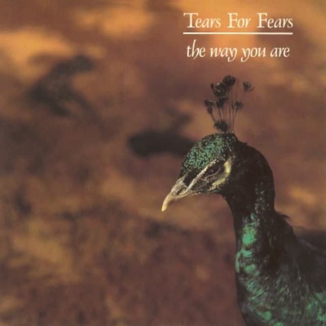 The Way You Are cover