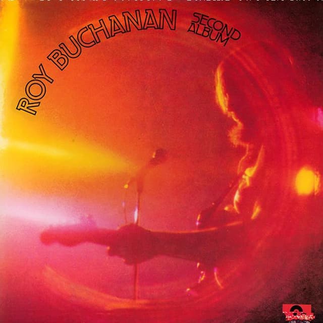 Roy Buchanan / Second Album cover