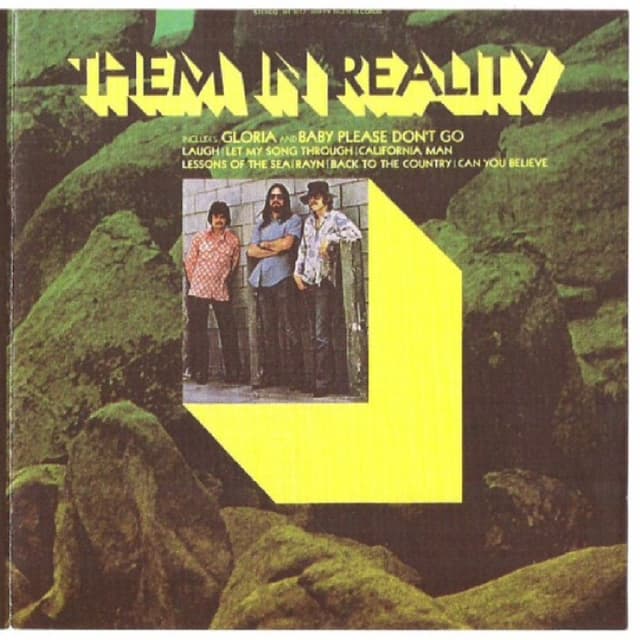 Happy Tiger Years cover