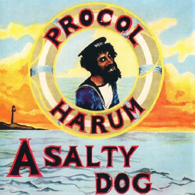 A Salty Dog cover