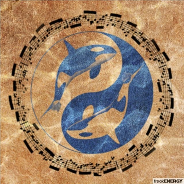 ORCA cover