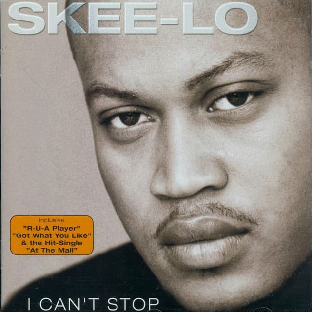 I Can't Stop cover