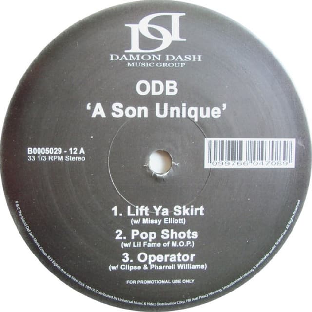 A Son Unique cover