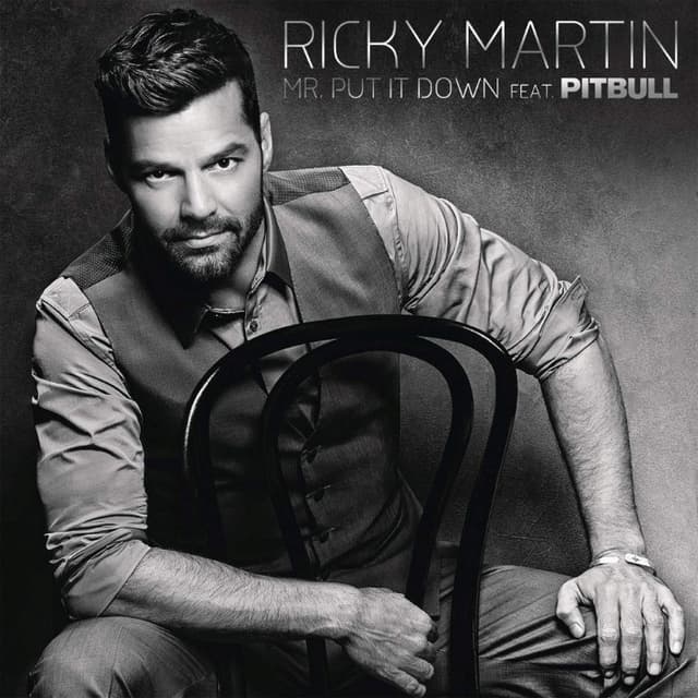 Mr. Put It Down cover