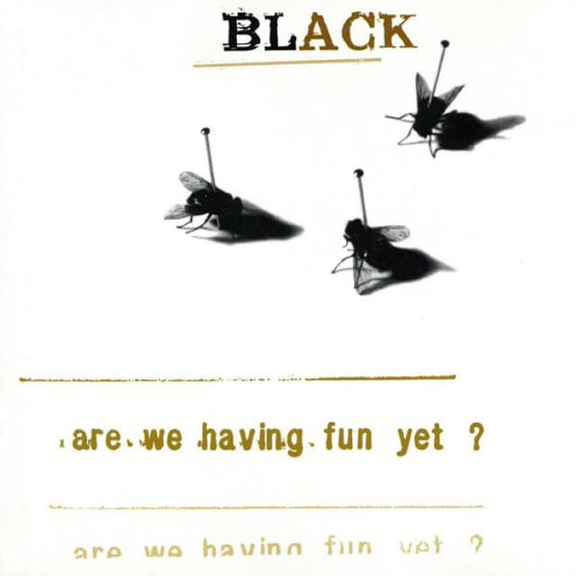 Are We Having Fun Yet? cover