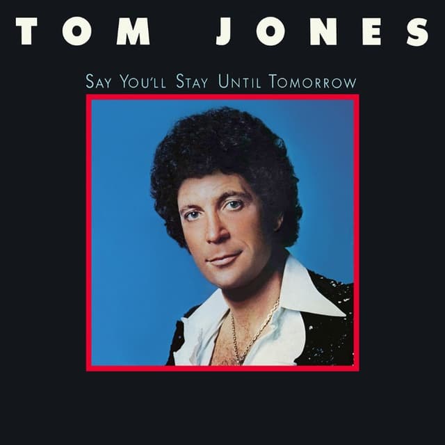 Say You'll Stay Until Tomorrow cover