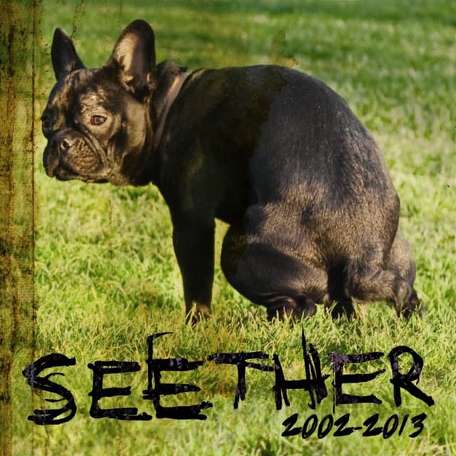Seether: 2002-2013 cover