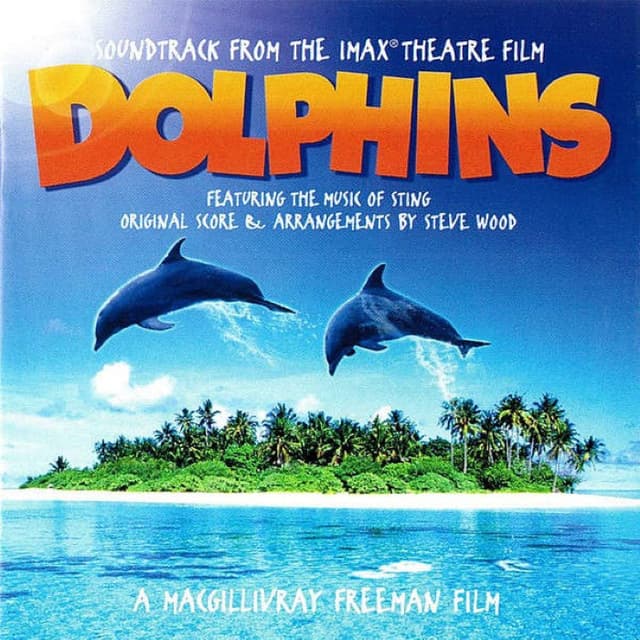 Dolphins cover