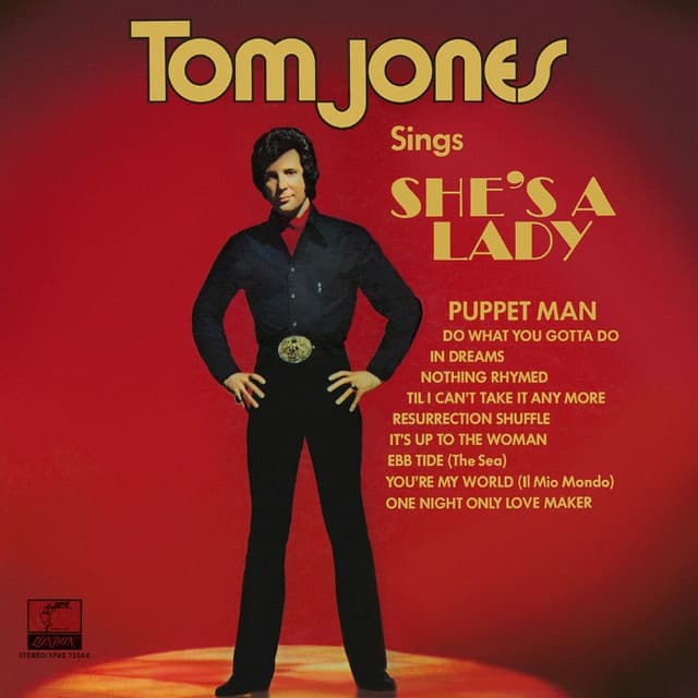 She's a Lady cover