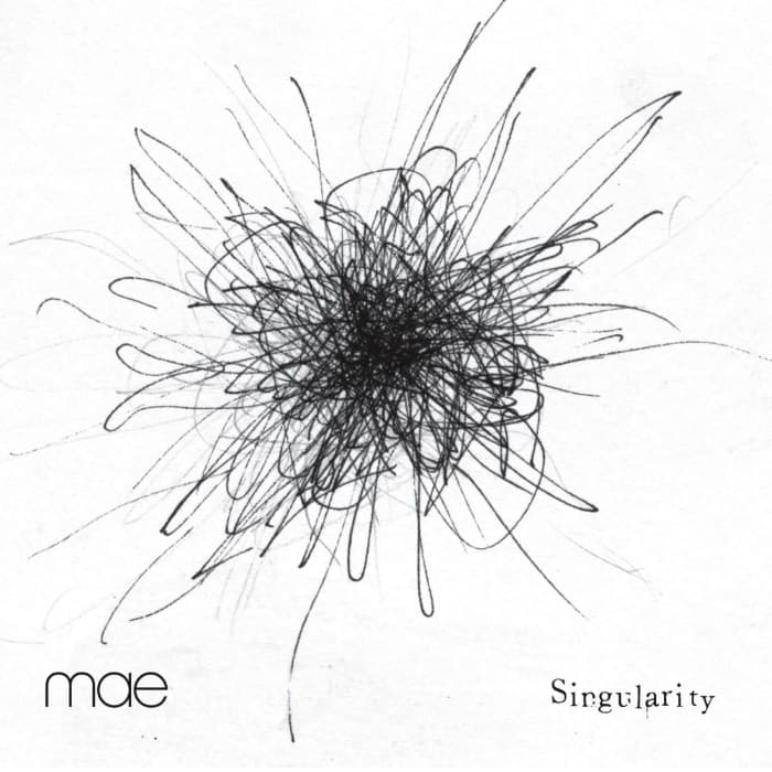 Singularity cover