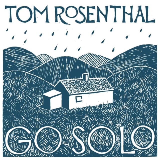 Go Solo cover