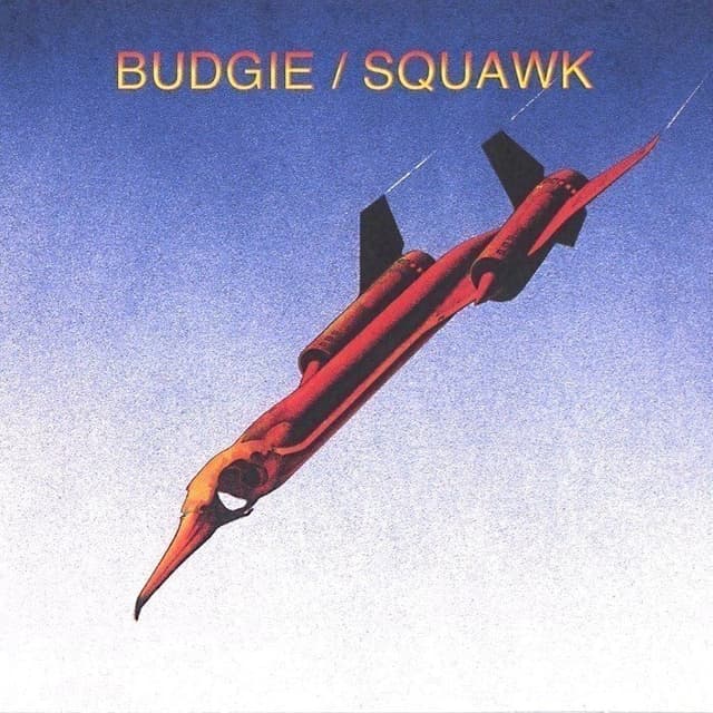 Squawk cover