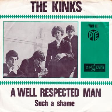 A Well Respected Man / Such a Shame album cover