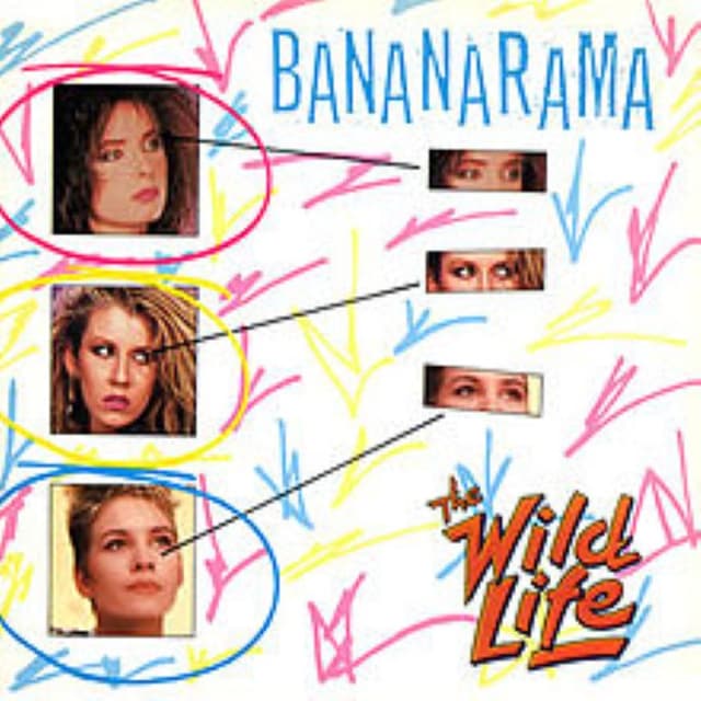 The Wild Life cover