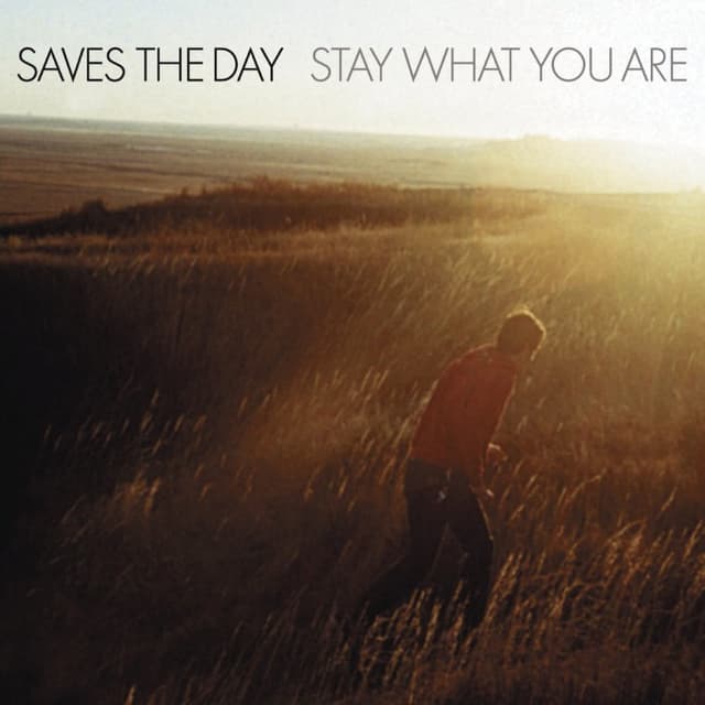 Stay What You Are cover