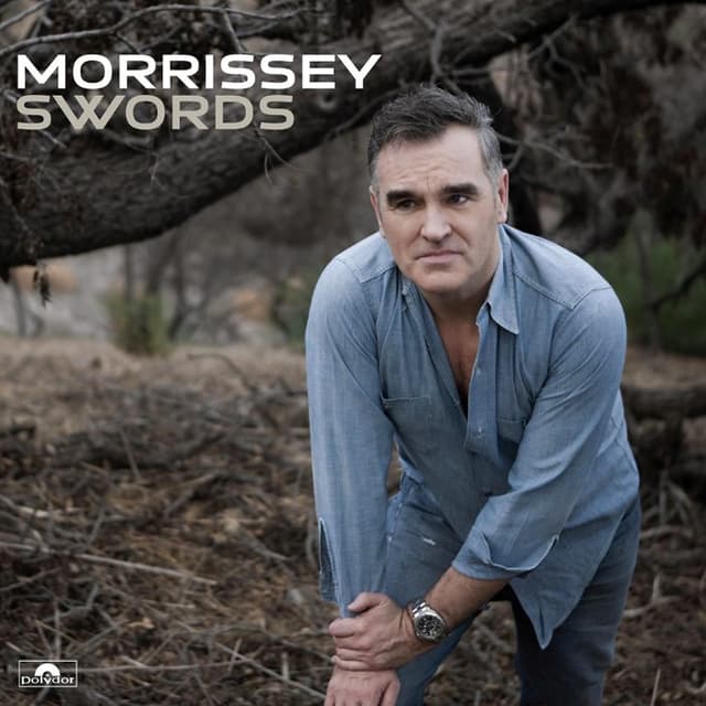 Swords cover