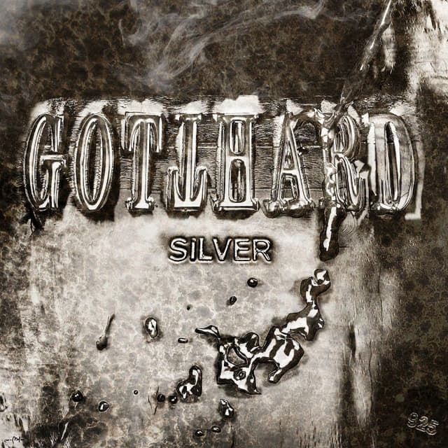 Silver cover