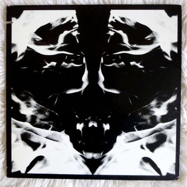 Mad Shadows cover