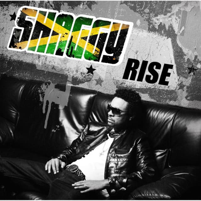 Rise cover