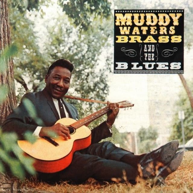 Muddy, Brass and the Blues cover