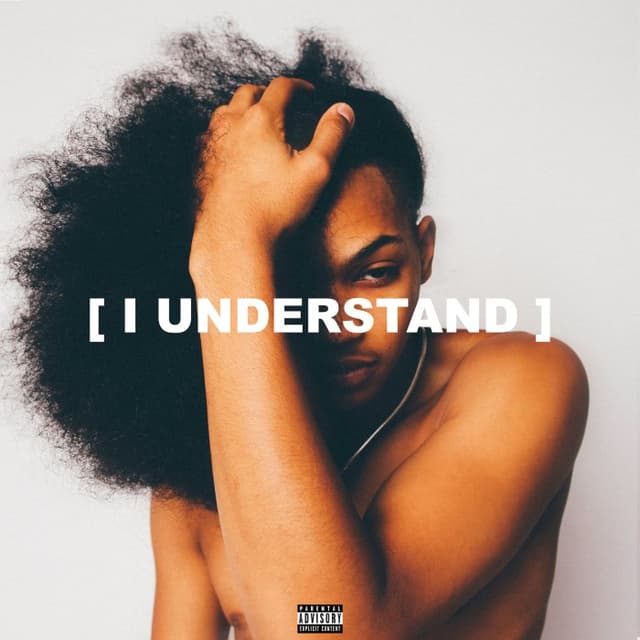 I Understand cover