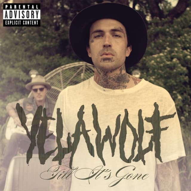 Till It's Gone cover