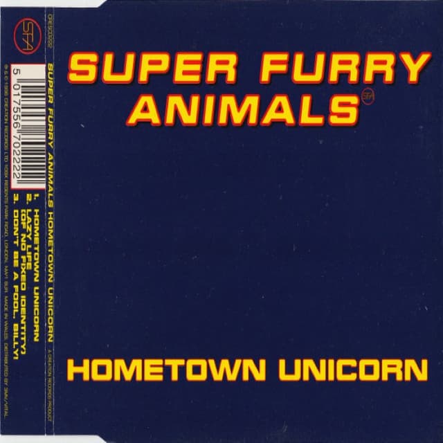 Hometown Unicorn cover