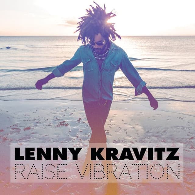Raise Vibration cover
