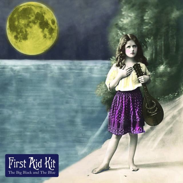 The Big Black & The Blue cover