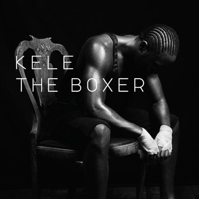 The Boxer cover