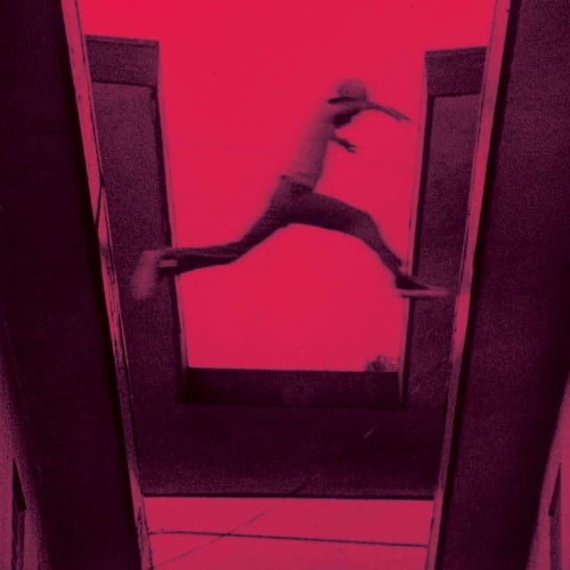 The Ecstatic album cover