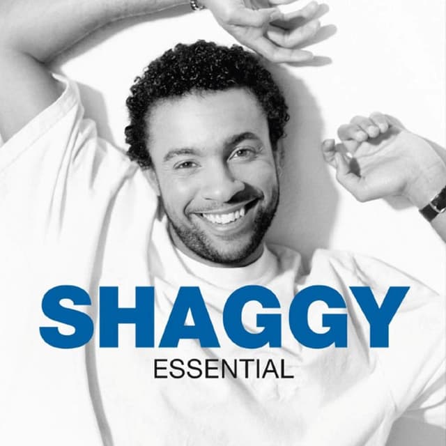The Essential Shaggy cover