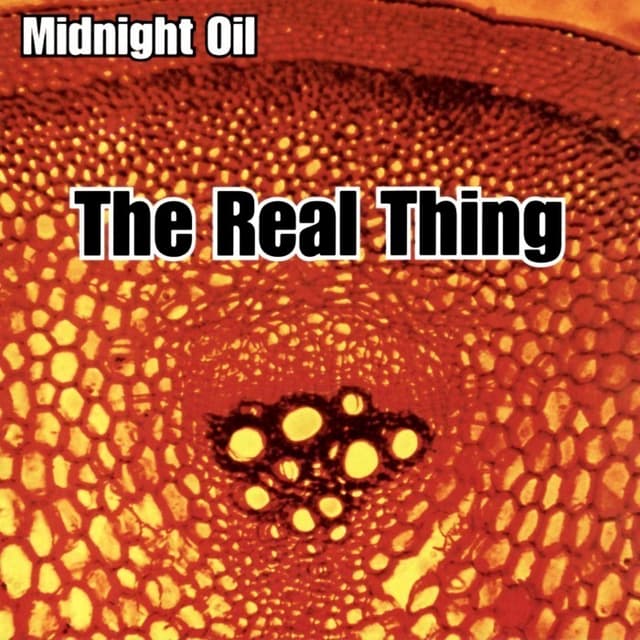 The Real Thing cover