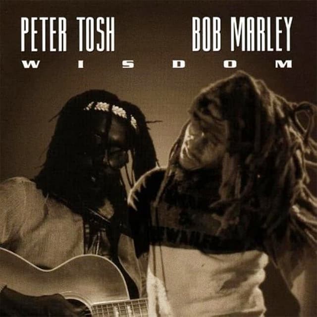 Wisdom cover