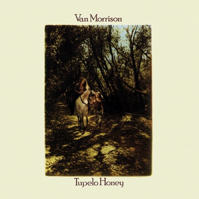 Tupelo Honey cover