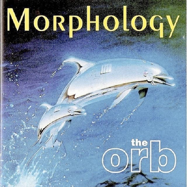 Morphology cover