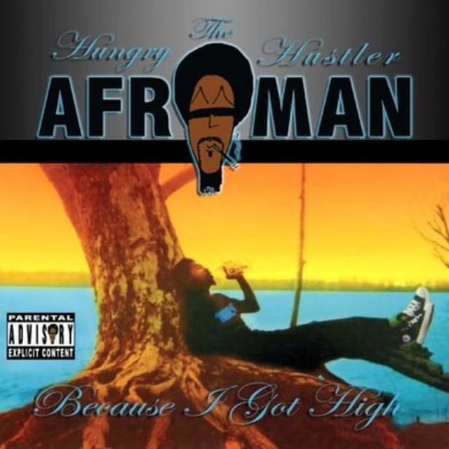 Because I Got High cover