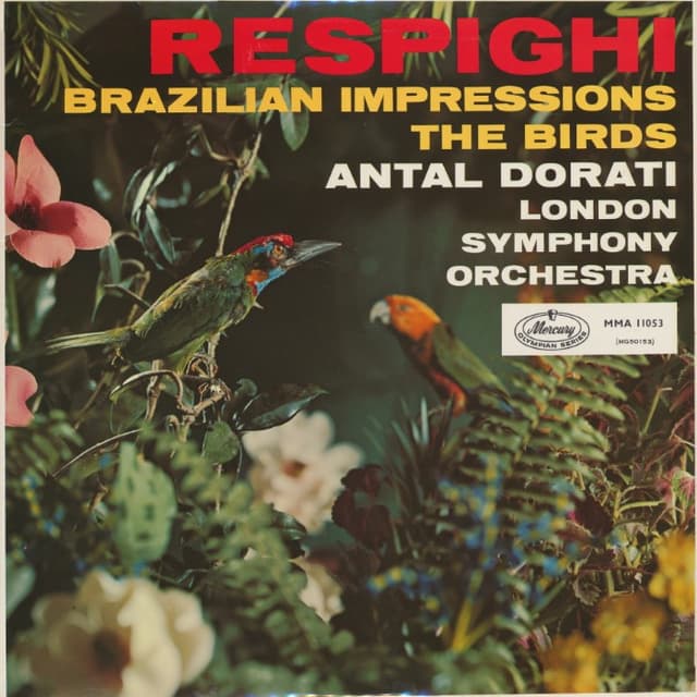 Brazillian Impressions / The Birds cover
