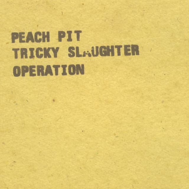 Tricky Slaughter Operation album cover