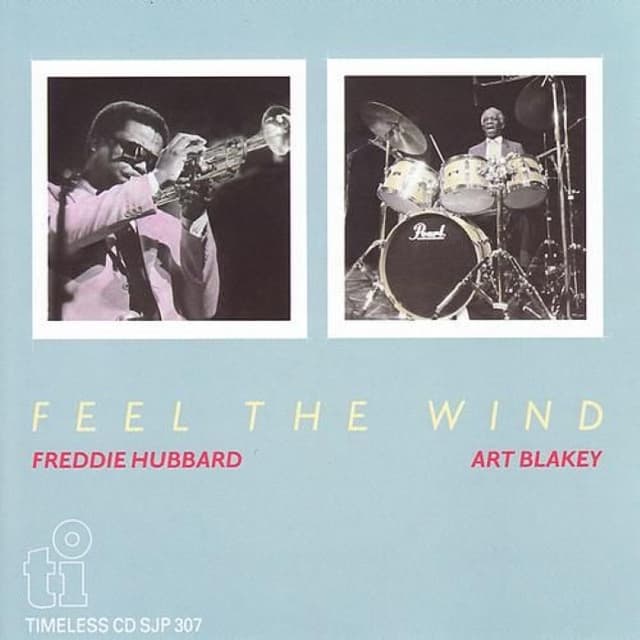 Feel the Wind cover