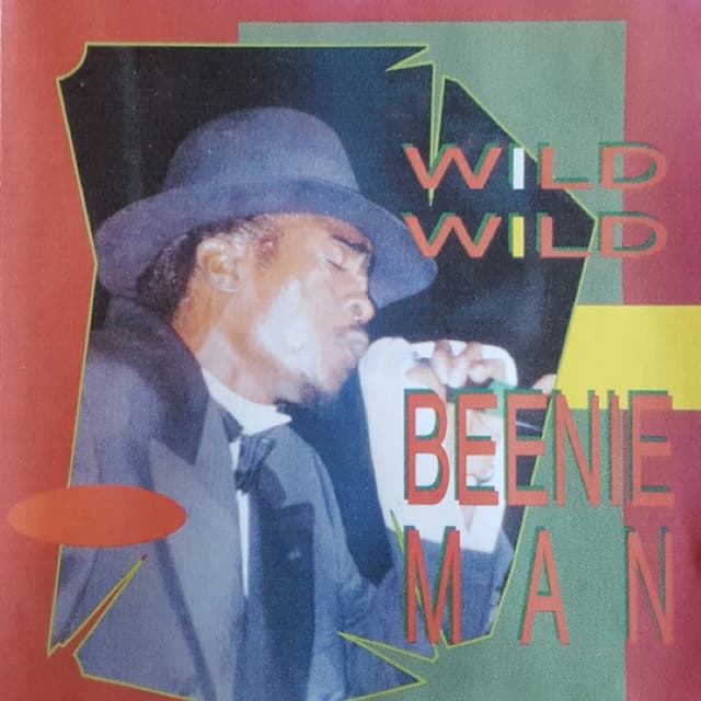 Wild Wild cover