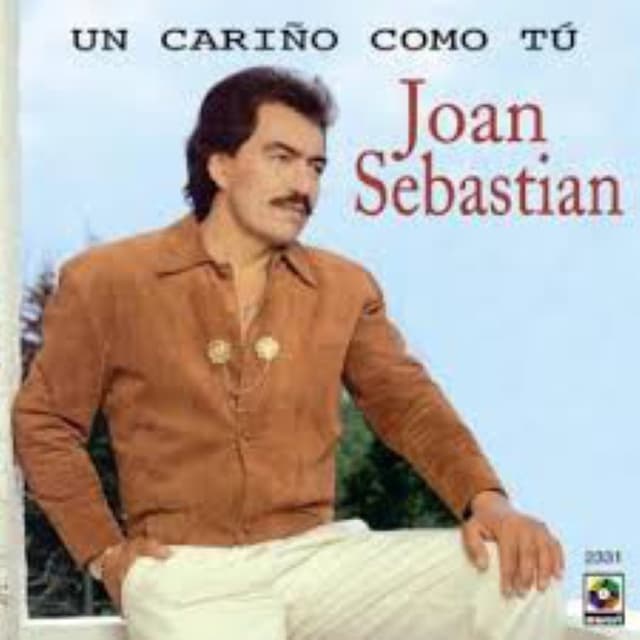Un cariño como tú cover
